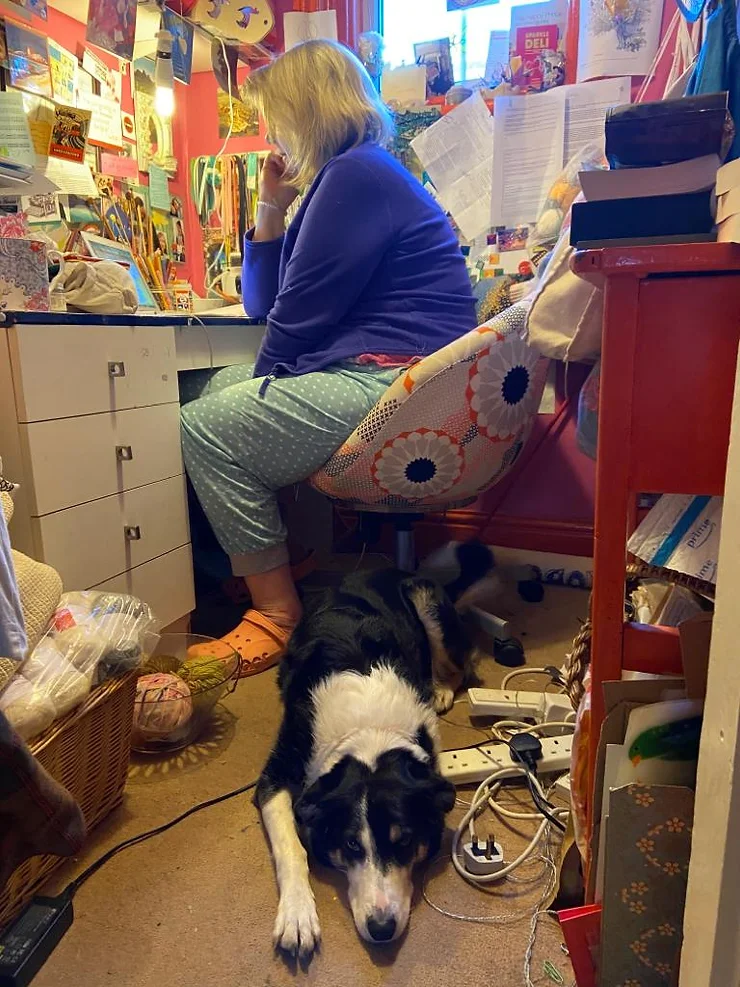  Cindy the dog on the floor preventing Jan from getting up from her desk.