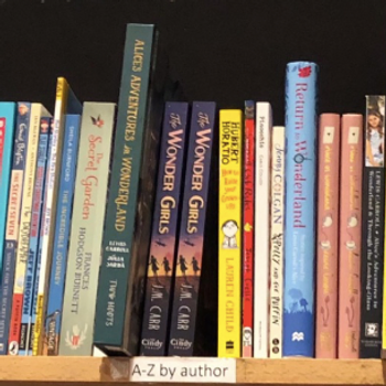 picture of a shelf in an independent bookshop, showing. among others. 2 copies of 'The Wonder Girls'